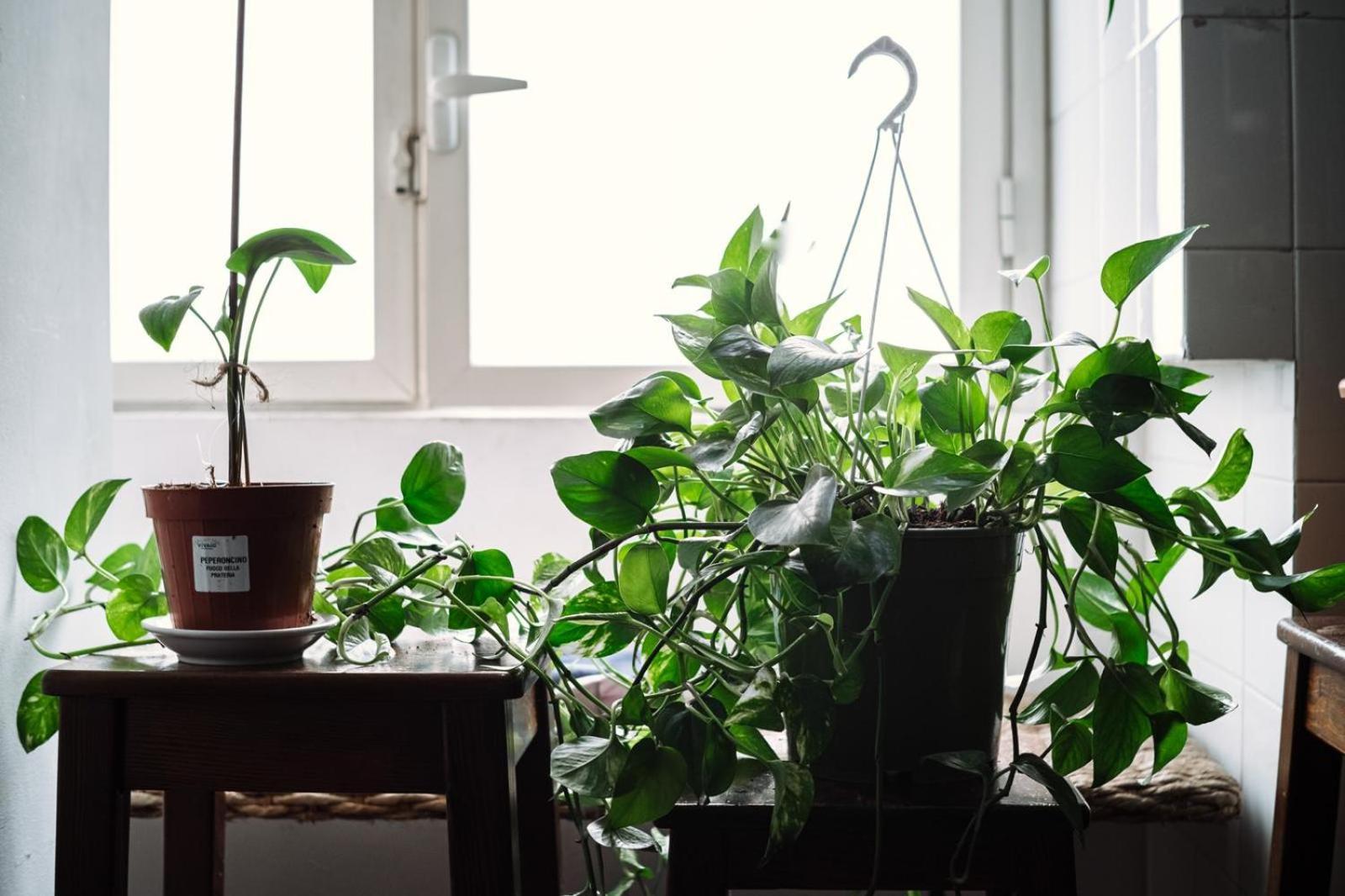 菲利波度假屋 巴勒莫 外观 照片